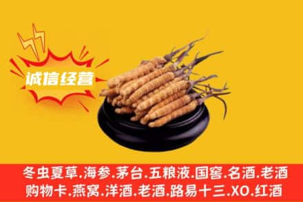衡阳回收冬虫夏草